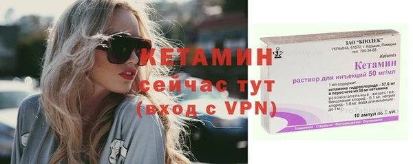 шишки Надым