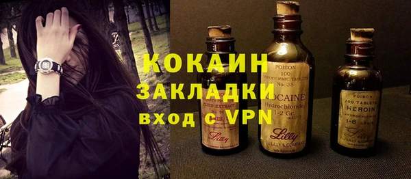 шишки Надым
