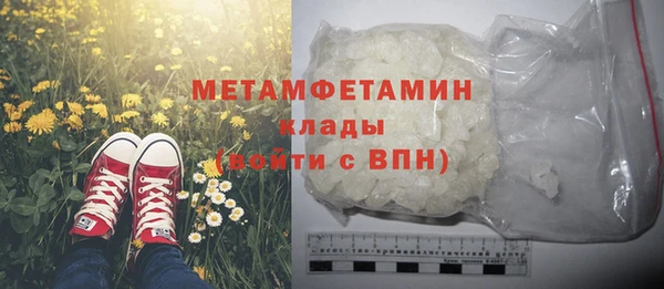шишки Надым