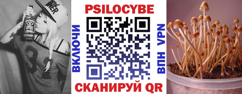 Псилоцибиновые грибы Cubensis  хочу   Данилов 