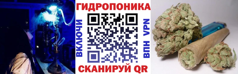 хочу наркоту  Данилов  Конопля MAZAR 